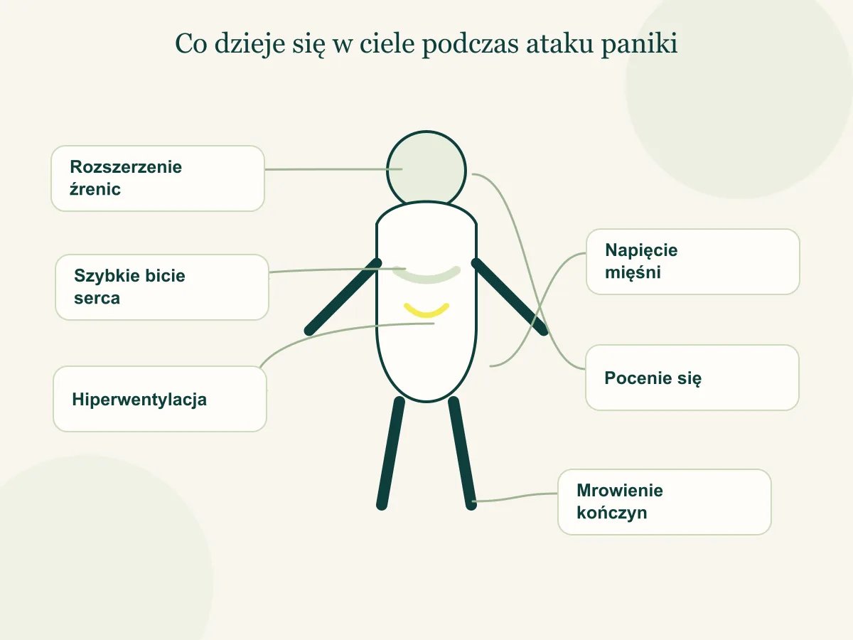 Schemat fizjologii ataku paniki: szybkie bicie serca, hiperwentylacja, napięcie mięśni, pocenie się, rozszerzenie źrenic, mrowienie — pełna reakcja walki lub ucieczki bez realnego zagrożenia