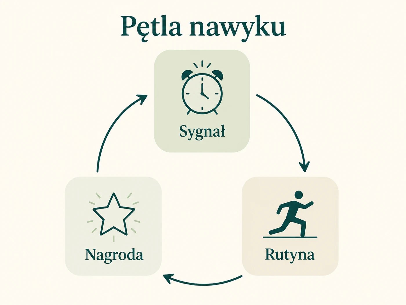 Infografika pętli nawyku z trzema elementami w cyklu: sygnał, rutyna i nagroda