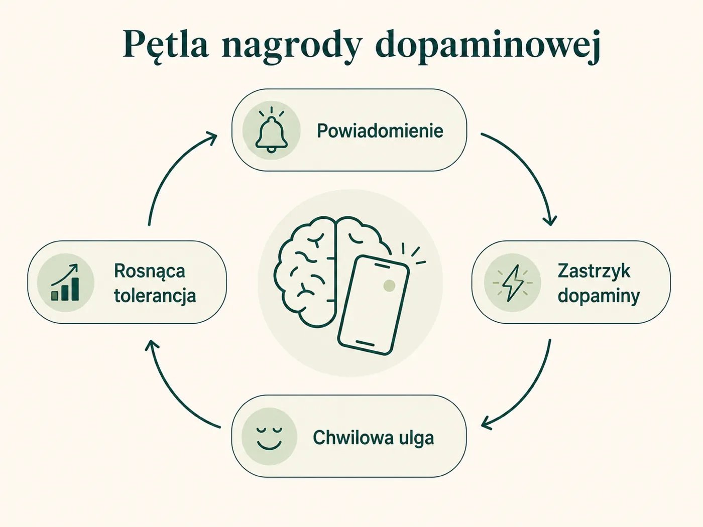 Infografika pętli nagrody dopaminowej: powiadomienie, zastrzyk dopaminy, chwilowa ulga i rosnąca tolerancja