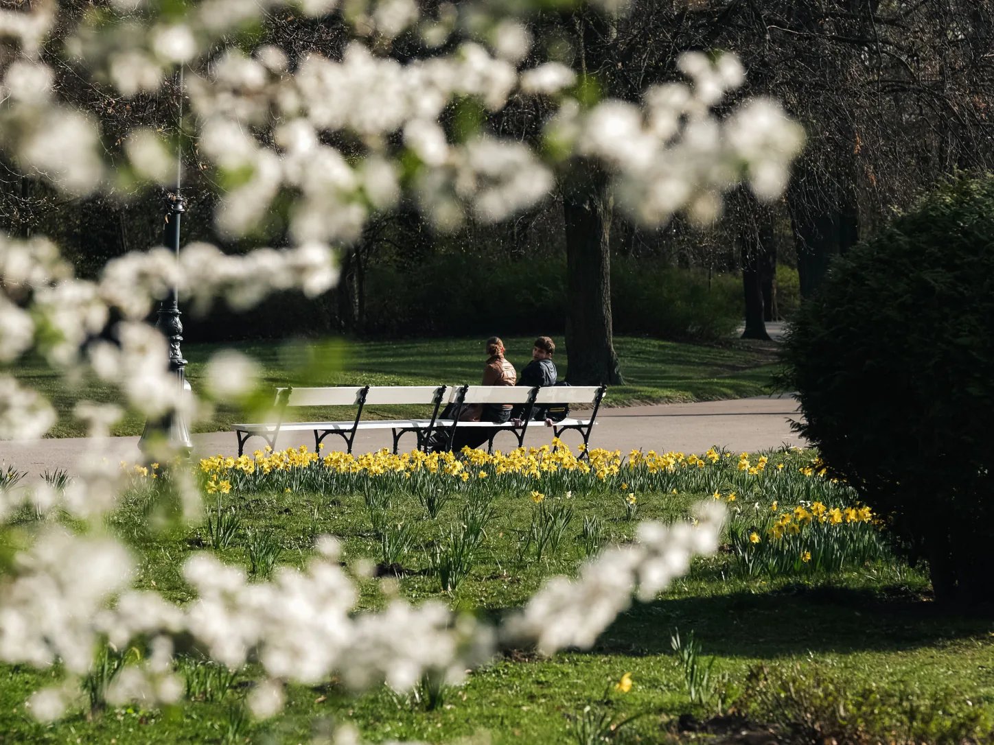 Dwie osoby rozmawiają na ławce w parku we Wrocławiu